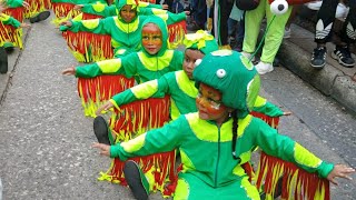 carnavales en cartagena de Indias colombia viralreel viralreelsシ viralvideo viralreelsシ [upl. by Lodhia]