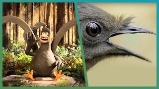 Lyrebird Meets Attenborough ft Aardman Animations Attenborough90  BBC Earth Unplugged [upl. by Adrienne105]