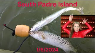 Kayak Fishing South Padre Island 162024 [upl. by Neurath]