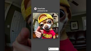 Chihuahua changing roles with his mom 😂 Sound ​⁠GamerChadPlays memes [upl. by Tobias68]