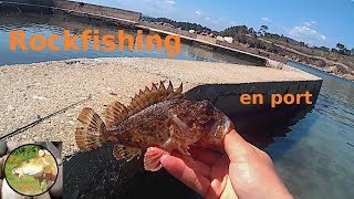 ROCKFISHING en port dans le Var Pêche des gros gobies et rascasses [upl. by Yolanda465]