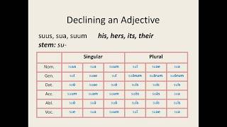 Latin for Beginners Lesson 10 FirstSecond Declension Adjectives [upl. by Yllaw]