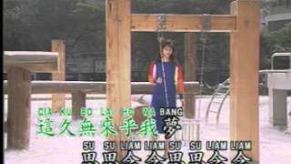 Hokkian Song  為何你愛著別人 Wie Ho Li Ai Dio Pa Lang [upl. by Crofton188]