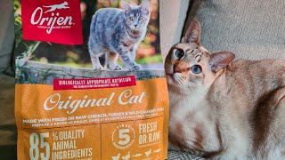 Orijen Cat Food Review  Honest and unsponsored review of Original Cat dry food  TRY KITTY [upl. by Joachim999]