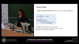 Lecture 10 Sandra SantosSierra  Principles of neuropharmacology [upl. by Oniuqa735]