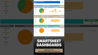 3000 Use Cases Smartsheet projectmanagement  Lighthouse Consultings [upl. by Tracie]