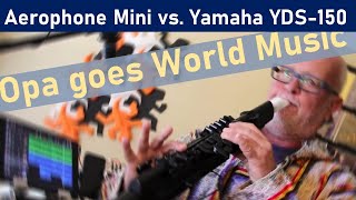 Roland Aerophone AE01 Mini vs Yamaha YDS150 Shakuhachi Japanese Bamboo Flute [upl. by Jarnagin845]