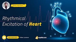 Rhythmical Excitation of Heart  Medical Physiology Lecture  Doctors VLearning Platform [upl. by Ainerbas]