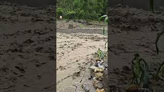 What Can You Do As A Debris Flow Happening And Coming [upl. by Nnylav]