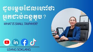 Whats Small Taxpayer [upl. by Comras236]