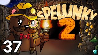 Baer Plays Spelunky 2 Ep 37 [upl. by Goetz]