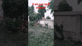 Barsat ke din aaye weather love barish song video nature breejbihari status [upl. by Minnnie]