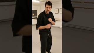 Kicking Practice Repetitions Jeet Kune Do [upl. by Wong]