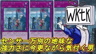 【遊戯王】センサー万別って来期環境でなかなか強くないですか？【購入品紹介】 [upl. by Adle]