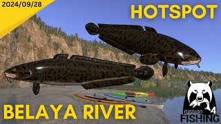 Belaya Burbot Hotspot Russian Fishing 4 [upl. by Carpenter707]