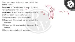 Read the given statements and select the correct option\nStatement 1 The cisternae in Golgi co [upl. by Anaher]