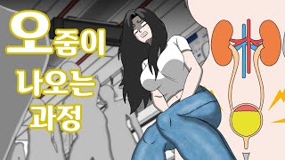 소변이 나오는 과정 애니메이션 [upl. by Nolyk]