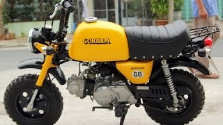 Honda Gorilla 50cc Monkey bike Collection [upl. by Shue]