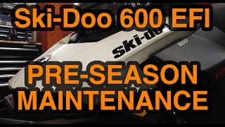 DIY SkiDoo 600 EFI PreSeason Maintenance [upl. by Neirual]