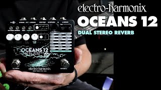 Choosing The Right Reverb Pedal From Spring to Experimental  Reverb Tone Report [upl. by Areval532]