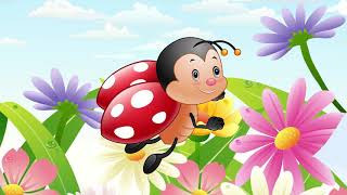 Coccinelle Demoiselle Comptine pour enfant [upl. by Zebulen]