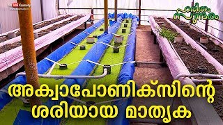 A proper model of Aquaponics  Haritham Sundharam EP 267  Kaumudy [upl. by Isak]