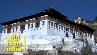 Jangtsa Dumtseg Lhakhang and Rinpung Dzong  Bhutan [upl. by Perretta201]