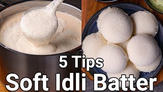 How to Make Soft Idli with 5 Basic Tips  Spongy Idli Batter with Wet Grinder  No Soda No Yeast [upl. by Junieta355]