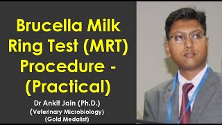 Brucella Milk Ring Test MRT Procedure  Practical [upl. by Covell563]