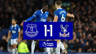 PREMIER LEAGUE HIGHLIGHTS EVERTON 11 CRYSTAL PALACE [upl. by Ynamrej858]