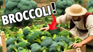 Exploring Broccolis History Health Benefits and Cooking Tips [upl. by Anna-Maria]