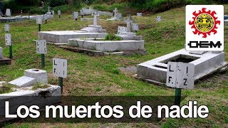 La morgue en el estado de Guerrero México está saturada por la violencia desbordada [upl. by Creight]