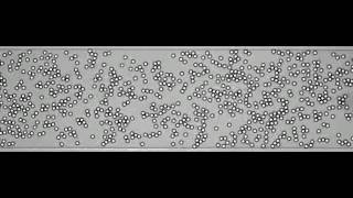 Tiny water drops flowing in oil reveal a new type of order [upl. by Almeta]