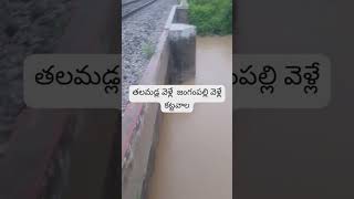 gala Galla pareti Gangamma song  Talamadla village  full blacked the railway bridge MVV [upl. by Ilaire]