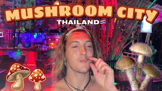 Magic Mushroom City in Thailand [upl. by Adalard]