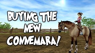 Buying the NEW Connemara  Star Stable Online [upl. by Haleak]