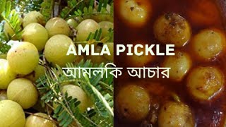 আমলকীর আঁচার বানানোর সহজ নিয়ম  How to make Amla pickle  Amloki Achar THEBESTfh8qd [upl. by Julis]