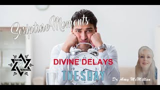 Divine Delays Amos 33 Scripture Moments with Dr Amy McMillan [upl. by Blinni284]