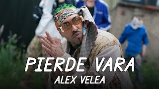 Alex Velea  Pierde Vara  Lyric Video [upl. by Korney]