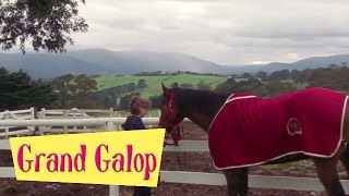 Grand Galop 107  Une jument capricieuse  HD  Épisode Complet [upl. by Arbua]