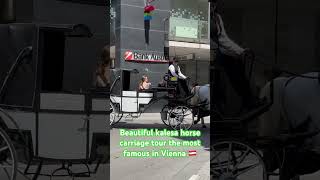 Beautiful kalesa horse carriage tour the most famous in Vienna🇦🇹 [upl. by Blunt]