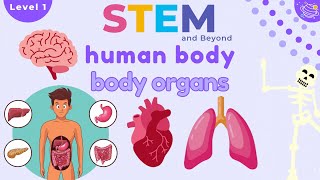 Human Body Organs  Science For Kids  STEM Home Learning [upl. by Yolanda363]