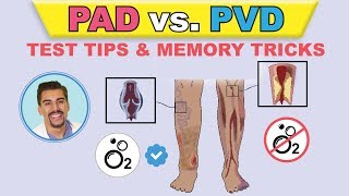 PAD vs PVI cartoon animation amp memory tricks peripheral arterial disease pathophysiology signs [upl. by Daberath]