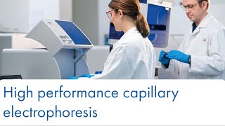 High performance capillary electrophoresis – but easy [upl. by Luca]