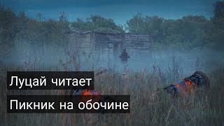 Луцай читает «Пикник на обочине» [upl. by O'Toole919]