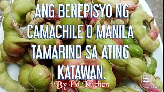 ANG BENEPISYO NG CAMACHILE O MANILA TAMARIND SA ATING KATAWAN [upl. by Stern]