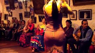 Flamenco Dance by Spanish Gypsies Part 2 [upl. by Harimas56]