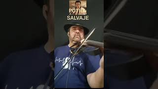 🇪🇦🇪🇦Potra Salvaje  Isabel Aaiún Pedro Martínez Aguilar violín [upl. by Grodin]