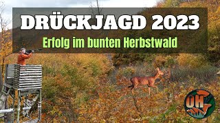 🐗DRÜCKJAGD im bunten Herbstwald🐗 I 2023 [upl. by Gilberte]