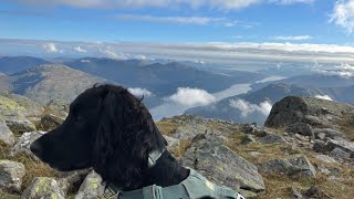 Ben Ime and Beinn Narnain Munros  Arrocher Alps  Scotland [upl. by Maggy]